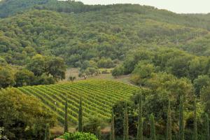 Gallery image of Tenuta Le Pianore in Cinigiano