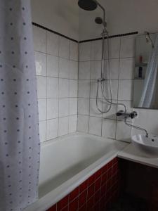 a bathroom with a bath tub and a sink at Villa Wolte Bed and Breakfast in Ringsted