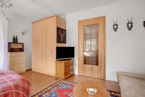 舍瑙阿姆克尼格塞的住宿－Ferienwohnung Edelweiß，客厅配有床、电视和橱柜。