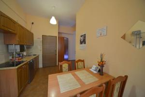Kuchnia lub aneks kuchenny w obiekcie Apartaments Piotrkowska 101