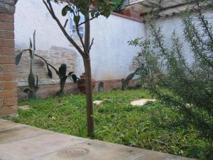 A garden outside Appartamento Vivaldi