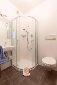 a shower in a bathroom with a toilet and a sink at BNB Garni Kreithof in Caldaro