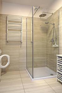 a bathroom with a shower and a toilet at Apartament BLUE BAY Darłówko in Darlowko +29 photos