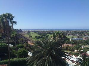 un palmier dans une ville avec l'océan en arrière-plan dans l'établissement Acogedor bungalow muy luminoso, à Maspalomas