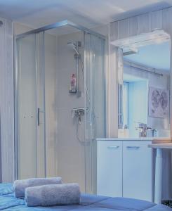 y baño con ducha y lavamanos. en La Savouè - Chambre en Francin