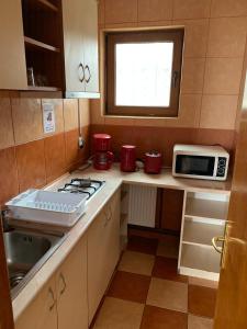 a small kitchen with a stove and a microwave at MIMOZA - Apartaments Panoramic Sea View in Eforie Nord +13 photos
