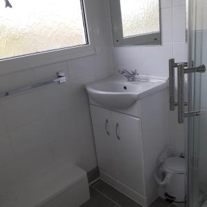 ein Bad mit einem Waschbecken, einem WC und einem Fenster in der Unterkunft Chalet Driftwood in Sandown