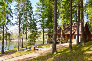 a log cabin in the woods next to a lake at Vidūnų sodyba in Kuktiškės