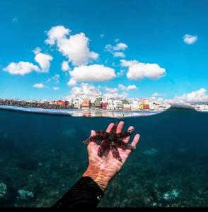 Foto dalla galleria di Seaview Faro Arinaga a Arinaga Altre 48 foto