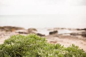 Fotografie z fotogalerie ubytování Paamul Hotel v destinaci Palmul