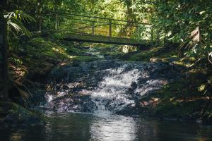 een brug over een kreek met een waterval bij Termales del Bosque & Hot Springs in La Marina