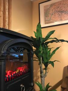 a plant sitting in front of a fireplace at Sapporo Kaneyutei Hotel & Resort Asahi group 札幌金湯亭ホテル & リゾート in Sapporo
