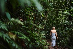 Hosté ubytování Daintree Ecolodge