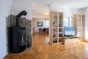 sala de estar con chimenea y TV en Apartment Melody Bled en Bled