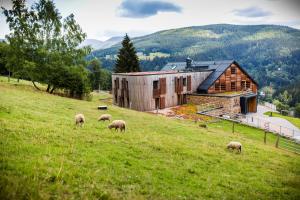 a group of sheep grazing in a field in front of a barn at Amenity Hotel & Resort Špindlerův Mlýn in Špindlerův Mlýn