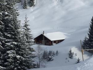 a cabin in the snow next to a tree at Ferienwohnung Paradiesli in Hasliberg