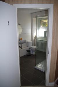 a bathroom with a toilet and a sink at Haus Barnabas im Engel, Gasthaus Engel in Utzenfeld