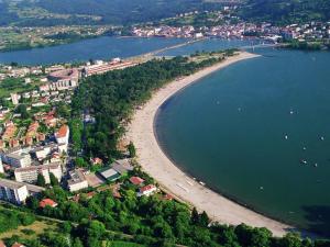an aerial view of a beach and the water at Apartamentos Design Pinemar in Cabañas