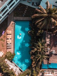 an overhead view of a swimming pool with palm trees at The Park Baga River Goa in Baga