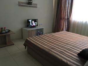 Μια τηλεόραση ή/και κέντρο ψυχαγωγίας στο Apart Hotel salt Lake