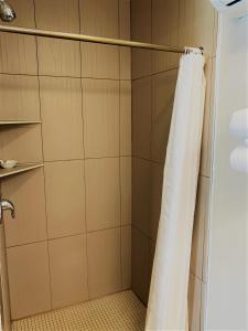 Little Current的住宿－山楂果汽車旅館，浴室内配有淋浴帘。