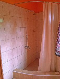 y baño con ducha con cortina blanca. en Kilimanjaro Eco Lodge, en Usa River