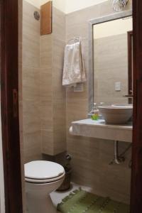 a bathroom with a toilet and a sink and a mirror at Departamentos Virgen del Cerro in Salta +16 photos