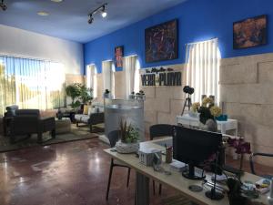 Apartamento en Planta baja, patio privado, orientación Oeste ...