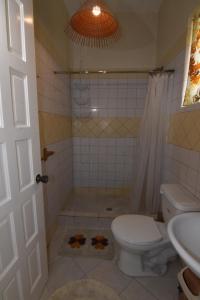 a bathroom with a toilet and a shower and a sink at Soufriere Guesthouse in Soufrière