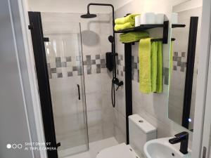 a bathroom with a shower with a toilet and a sink at Apartamentos Mareventus in Sanxenxo +78 photos