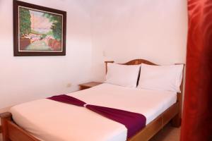 Tempat tidur dalam kamar di Hotel Colonial - Honda -
