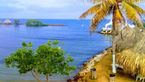 una playa con palmeras y vistas al océano en Hotel La Fragata, en Coveñas