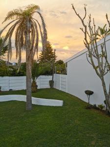 a palm tree in a yard with a white fence at Ballina Ga-el Guesthouse in Port Elizabeth