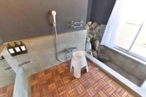 a bathroom with a shower and a toilet at GOURA TERRACE in Gora