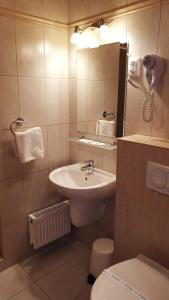 a bathroom with a sink and a toilet and a mirror at Diana Club Hotel in Budapest