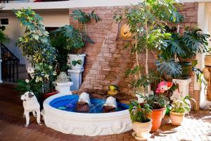 ロオにあるGuest House Galinaの植物が茂る中庭の噴水