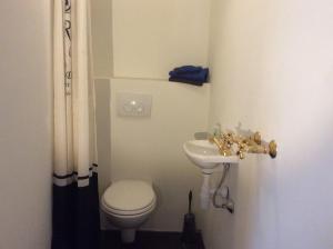 Un baño con un inodoro blanco y un lavabo. en Juttershoek, en Kampen