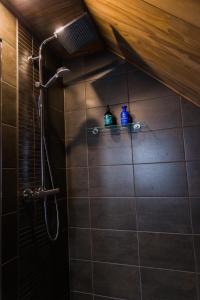 a bathroom with a shower with two blue bottles on a shelf at Holiday Village Inari in Inari