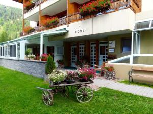 Zahrada ubytování Hotel Ahorni