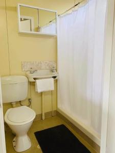 W łazience znajduje się toaleta, umywalka i lustro. w obiekcie Riverside Hotel w mieście Northam