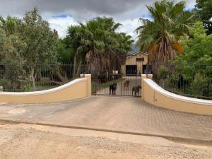 a fence with two dogs standing in front of a gate at Meerkatjie in Riviersonderend