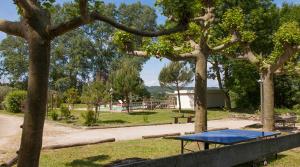 un tavolo da picnic blu in un parco alberato di A l'orée du bois - Chambres d'hôtes a Hostun