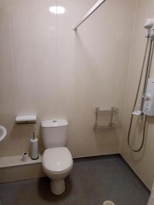 a white bathroom with a toilet and a shower at Ground Floor Barmouth Centre Apartment With Garden in Barmouth