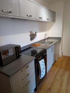 a kitchen with a sink and a stove top oven at Ground Floor Barmouth Centre Apartment With Garden in Barmouth