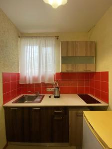 una pequeña cocina con fregadero y azulejos rojos en Ev Roshel Hotel, en Adler