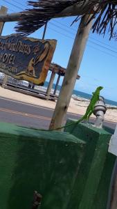 Foto sihtkohas Flecheiras asuva majutusasutuse Beach Wind Hotel galeriist
