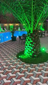 Φωτογραφία από το άλμπουμ του Hotel Estonia Two σε Kobuleti
