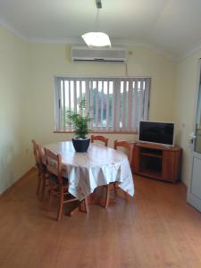TV a/nebo společenská místnost v ubytování Planika Apartments 1