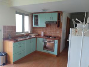 Kuchyň nebo kuchyňský kout v ubytování Planika Apartments 1
