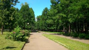 ヤロスラヴリにあるApartments on Uglichskaya 31の木々や花々が咲き誇る公園内の小道